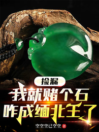 捡漏:我就赌个石,咋成缅北王了 封面