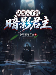 从废太子到暗影君主 封面