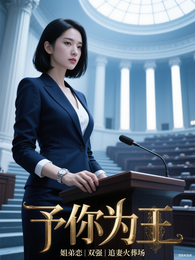 予你为王 封面