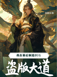 盗版大道：我在幕后制造bug 封面