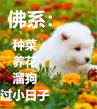 佛系：种菜养花溜狗过小日子 封面