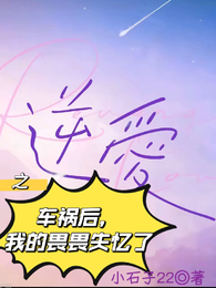 逆爱之车祸后,我的畏畏失忆了 封面