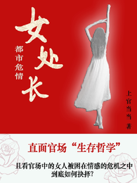 女处长都市危情 封面