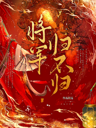 将军归不归 封面
