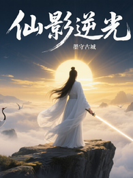 仙影逆光 封面
