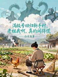 满级号回归新手村 封面