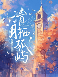清月栖孤屿 封面