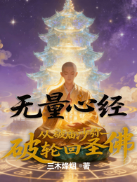 无量心经:从破庙沙弥到轮回圣佛 封面