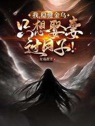 我,稳健金乌,只想娶妻过日子! 封面