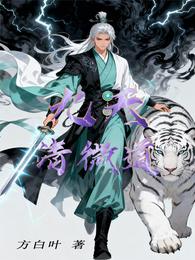 九天清微道 封面