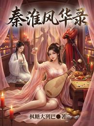 秦淮风华录 封面