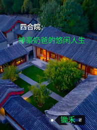 四合院:神豪奶爸的悠闲人生 封面