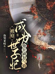 被迫成为世子妃，他狂刷怒气值 封面