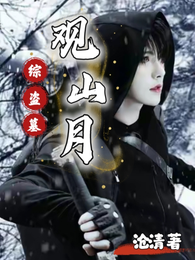 综盗墓：观山月 封面