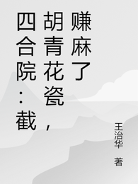四合院:截胡青花瓷,赚麻了 封面