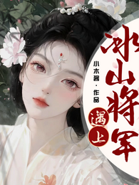 遇上冰山将军 封面