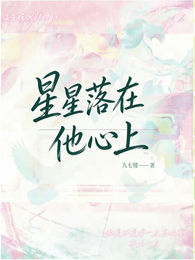 星星落在他心上 封面