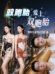 双胞胎爱上双胞胎 封面