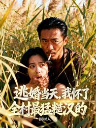 逃婚当天,我怀了全村最猛糙汉的 封面