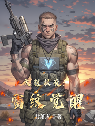 天狼极夜:雷纹觉醒 封面