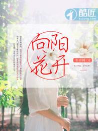 向阳花开 封面