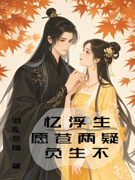 忆浮生,愿负苍生两不疑 封面