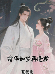 霜华如梦再逢君 封面