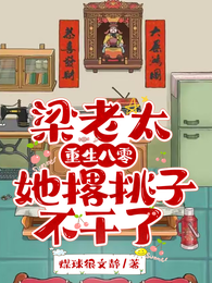 梁老太重生八零,她撂挑子不干了 封面