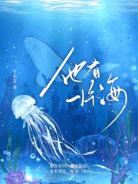 他有一片海 封面