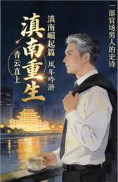 滇南重生：青云直上 封面