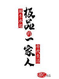 极品一家人风生水起的年代生活 封面