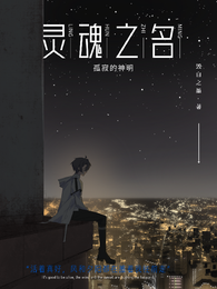 灵魂之名 封面