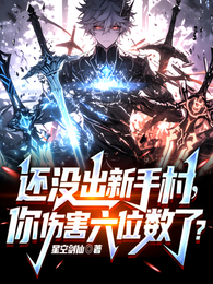 还没出新手村，你伤害六位数了？ 封面