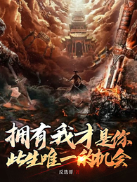 拥有我才是你此生唯一的机会 封面