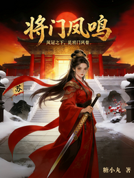 将门凤鸣 封面