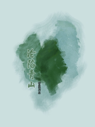 沦陷青山 封面