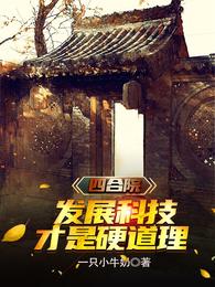 四合院：发展科技才是硬道理 封面