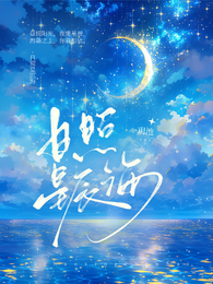 日照星沉海 封面