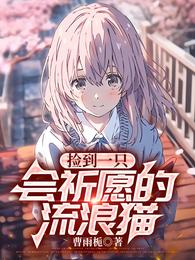 捡到一只会祈愿的流浪猫 封面