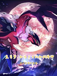 宝可梦:机巧少女的机械降神 封面