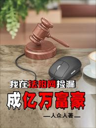 我在法拍网捡漏成亿万富豪 封面