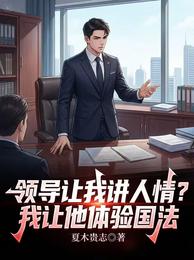 领导让我讲人情?我让他体验国法 封面