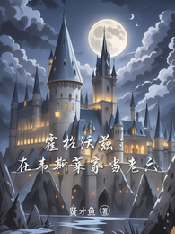 霍格沃兹：在韦斯莱家当老六 封面