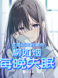 试婚结束我离开，柳如烟每晚失眠 封面