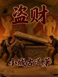 盗财 封面