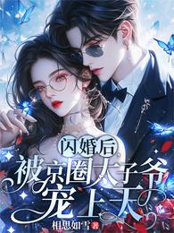 闪婚后,被京圈太子爷宠上天 封面
