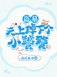 盗墓:天上掉下个小饕餮 封面