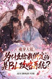 为什么给我绑定的是BL攻略系统 封面