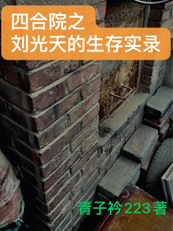 四合院之刘光天的生存实录 封面