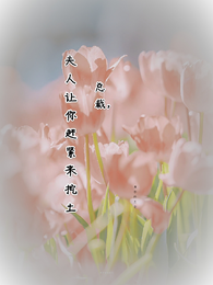 总裁,夫人让你赶紧来挖土 封面